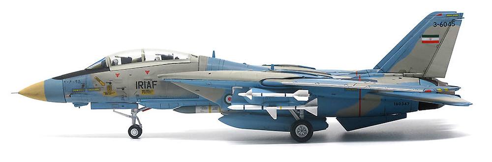 F-14A Alicat, Islamic Republic of Iran Air Force, Tactital Fighter Base 8, 1:72, JC Wings 