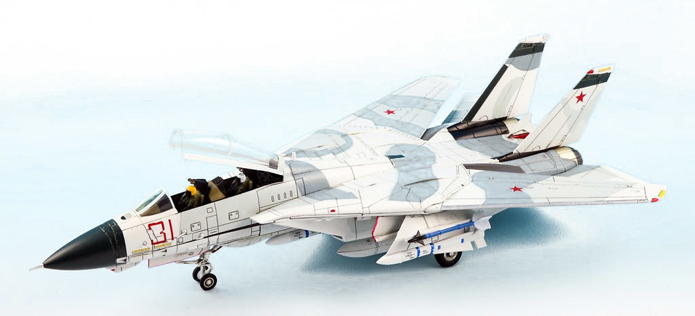 Grumman F-14A Red 31 Tomcatsky, 1:72, Calibre Wings 