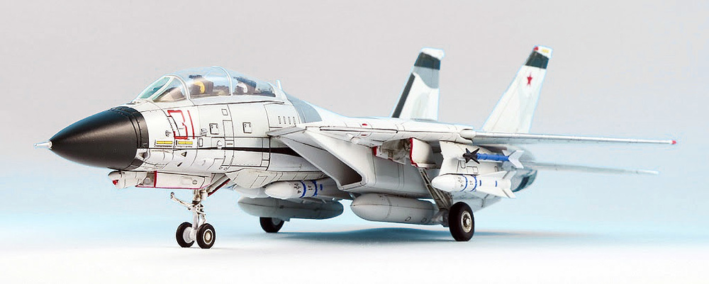 Grumman F-14A Red 31 Tomcatsky, 1:72, Calibre Wings 