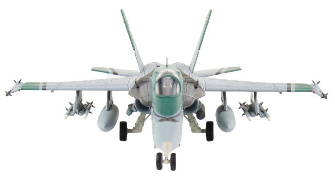 McDonnell Douglas F/A-18C Hornet, USN VFA-195 Dambusters, NF400 Chippy Ho, 2010, 1:72, Hobby Master 