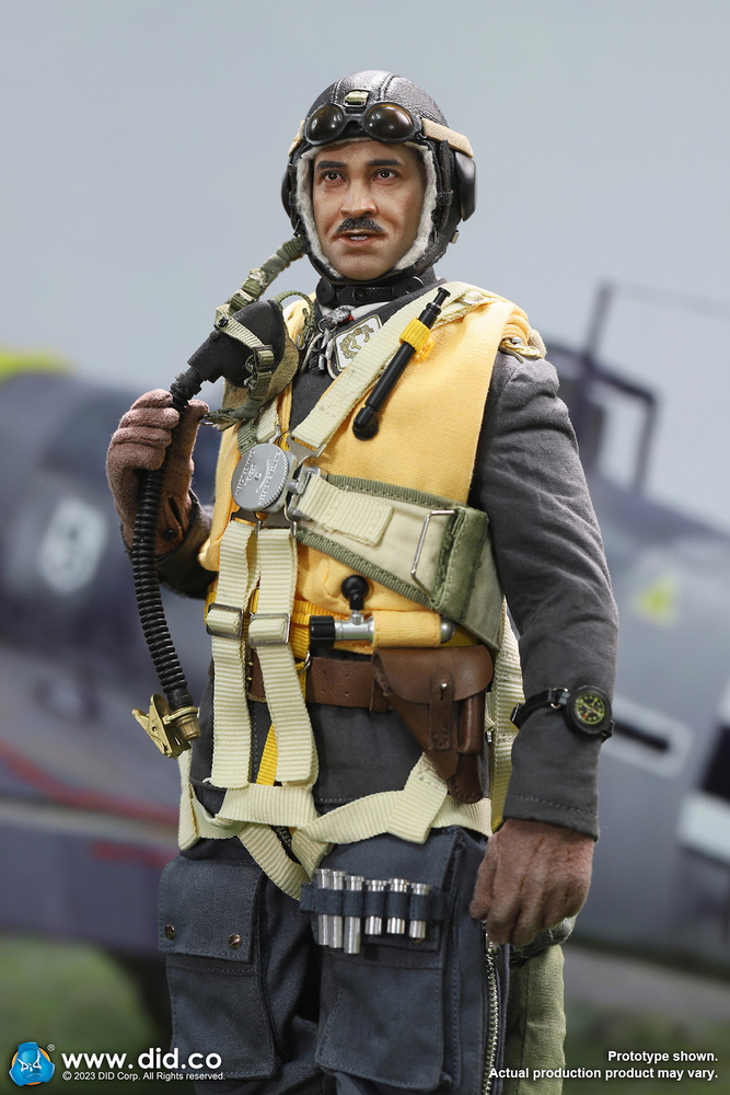 WWII German Luftwaffe Ace Pilot – Adolf Galland 