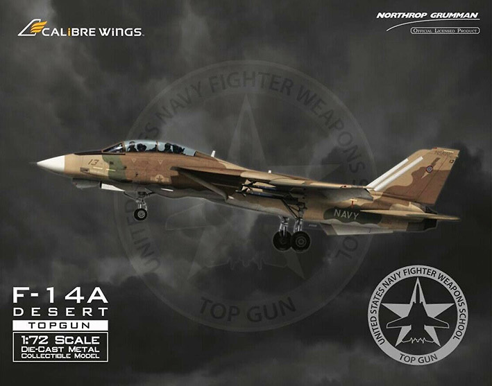 F-14A Tomcat NFWS/NSAWC ' Topgun ' Desert BUNO 160913, 1:72, Calibre Wings 