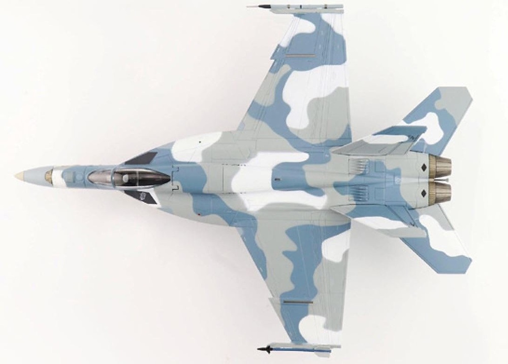 F/A-18 Aggressor 