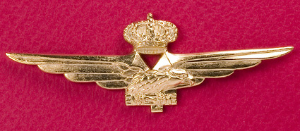 INSIGNIA DE PILOTO FUERZA AEREA REAL ITALIANA 