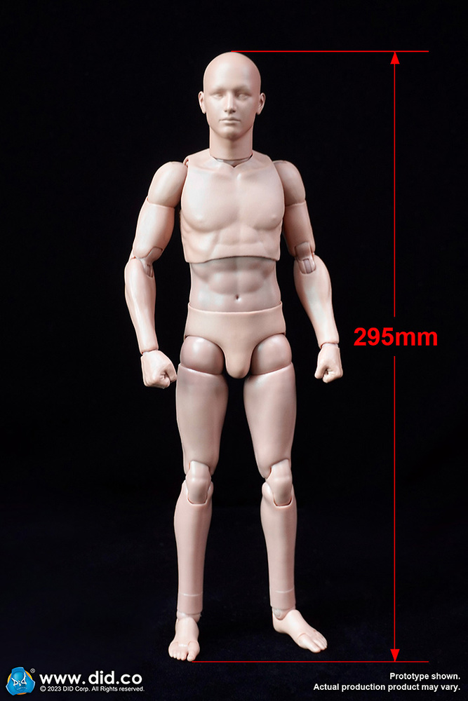 Nuevo cuerpo avanzado (versión delgada) 2.0, 1:6, Did 