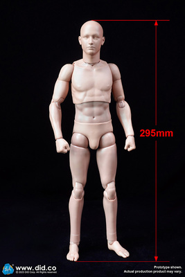 Nuevo cuerpo avanzado (versión delgada) 2.0, 1:6, Did